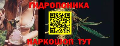 крисы Кунгур