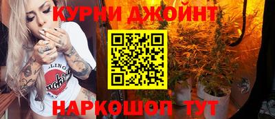 крисы Кунгур