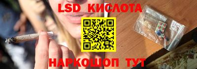 крисы Кунгур