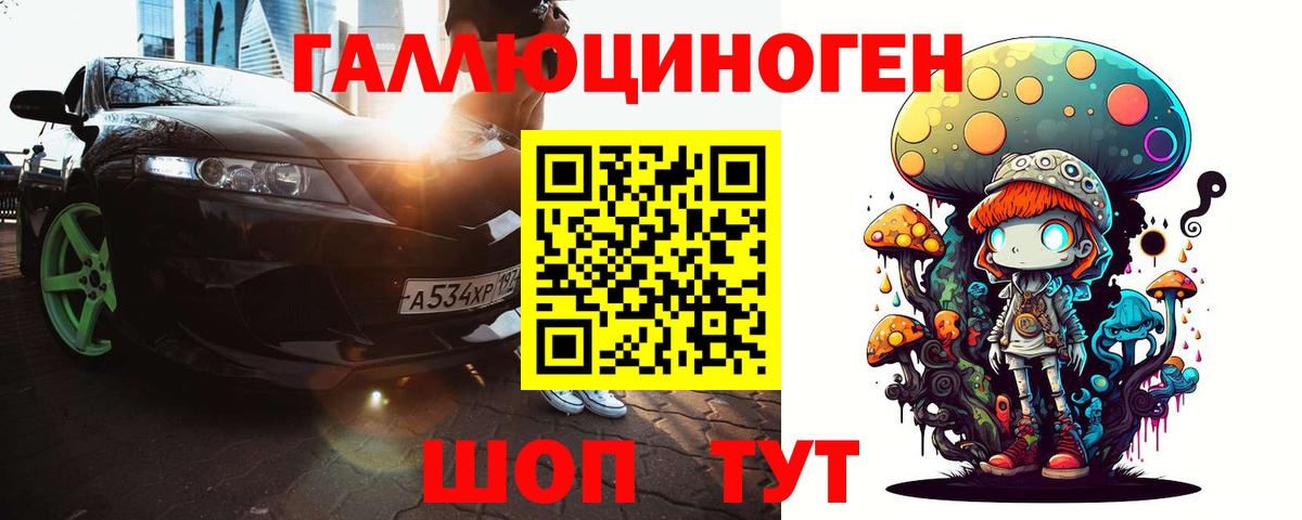 Псилоцибиновые грибы Psilocybe Каменск-Шахтинский